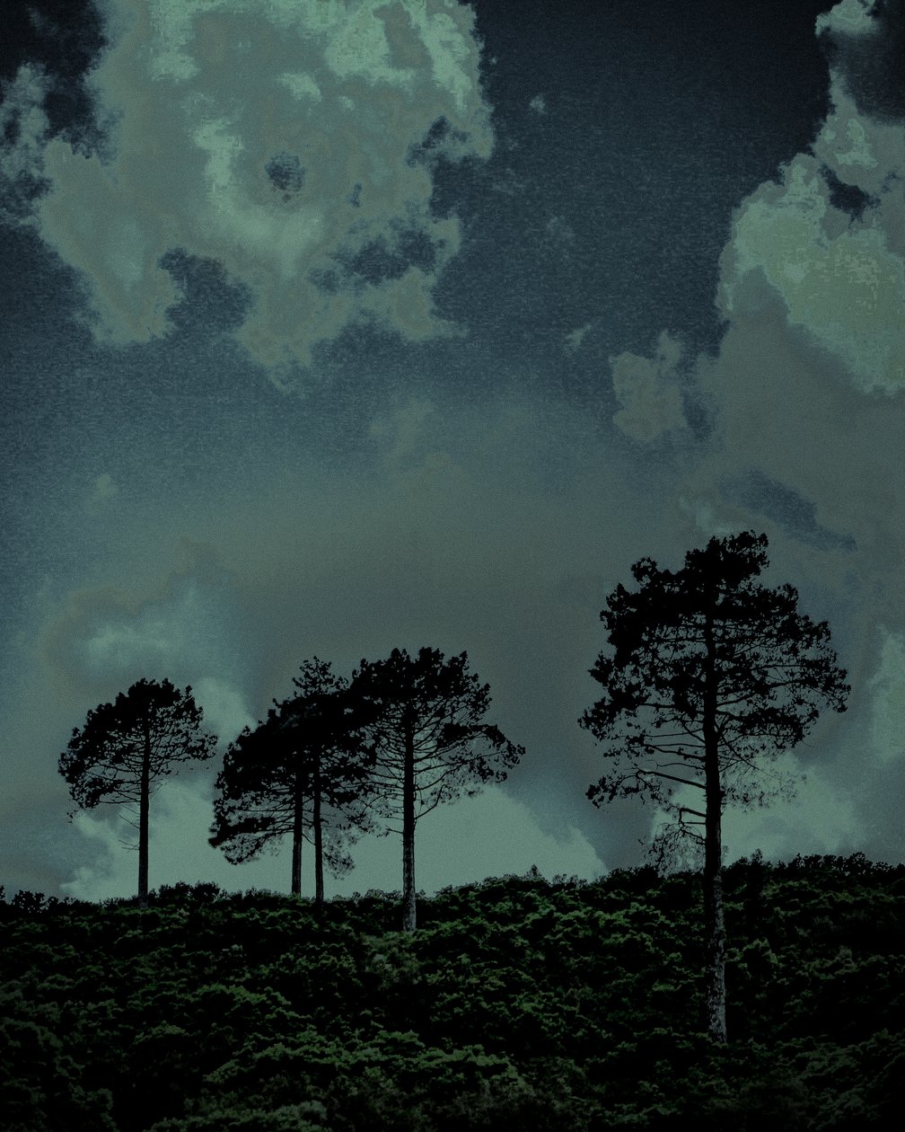 Last Light, 2018 (ručně malovaná fotografie) od Alice Gur-Arie