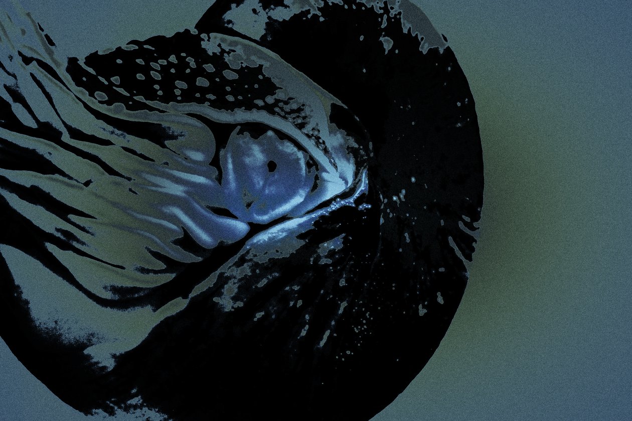Nautilus, 2018 (ručně malovaná fotografie) od Alice Gur Arie