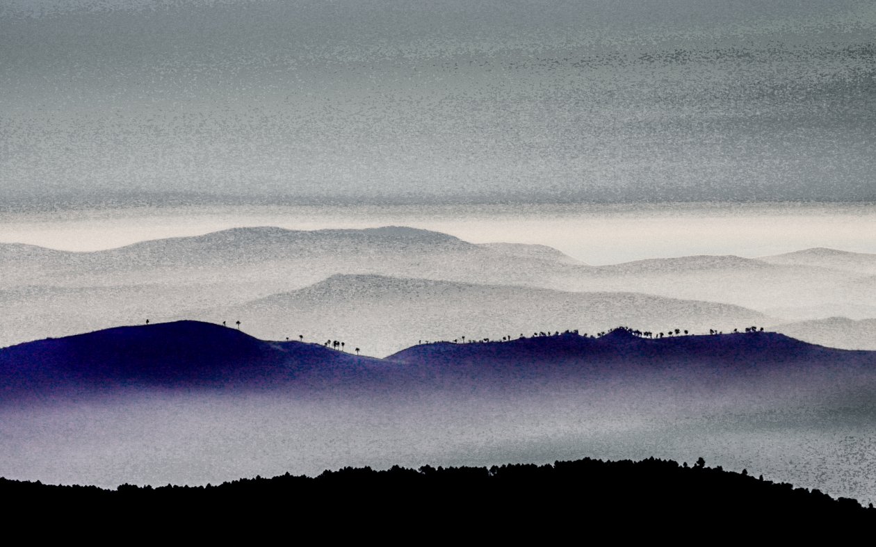 Silueta Hřeben ze série Královo lože, 2020 (ručně malovaná fotografie) od Alice Gur Arie