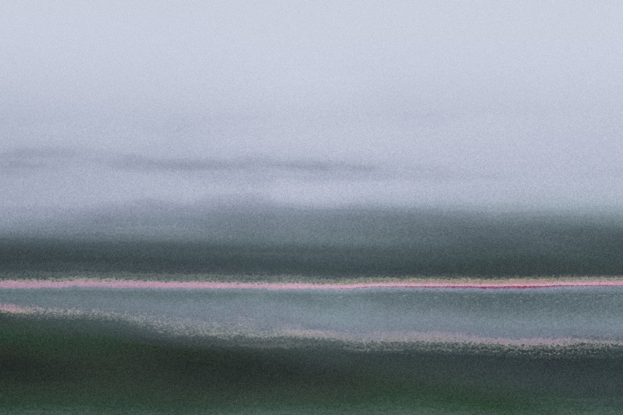 Verdant, ze série Conyer Reach, 2020 (ručně malovaná fotografie) od Alice Gur Arie