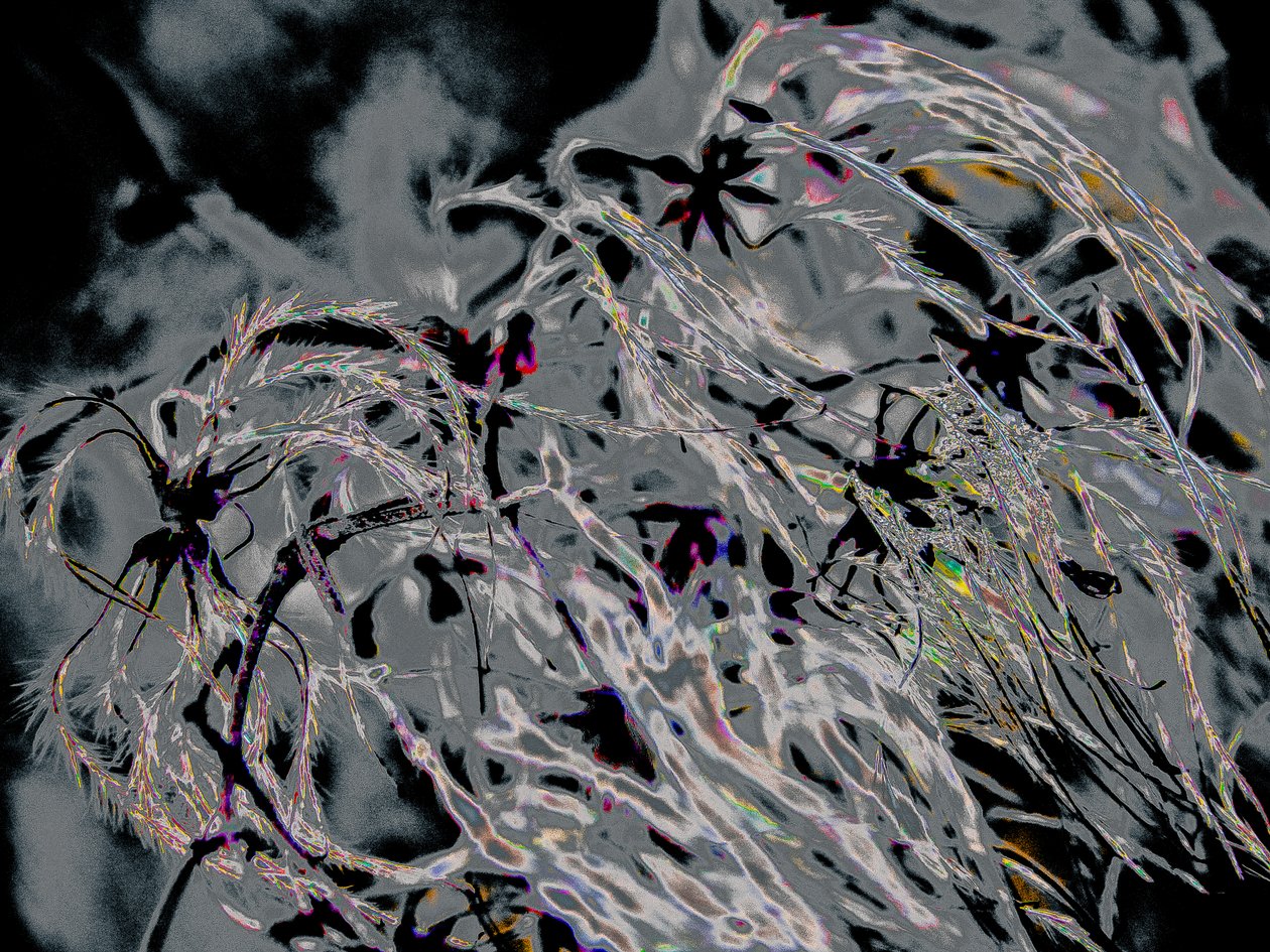 Countryfile, 2015 (fotografie) od Alice Gur Arie