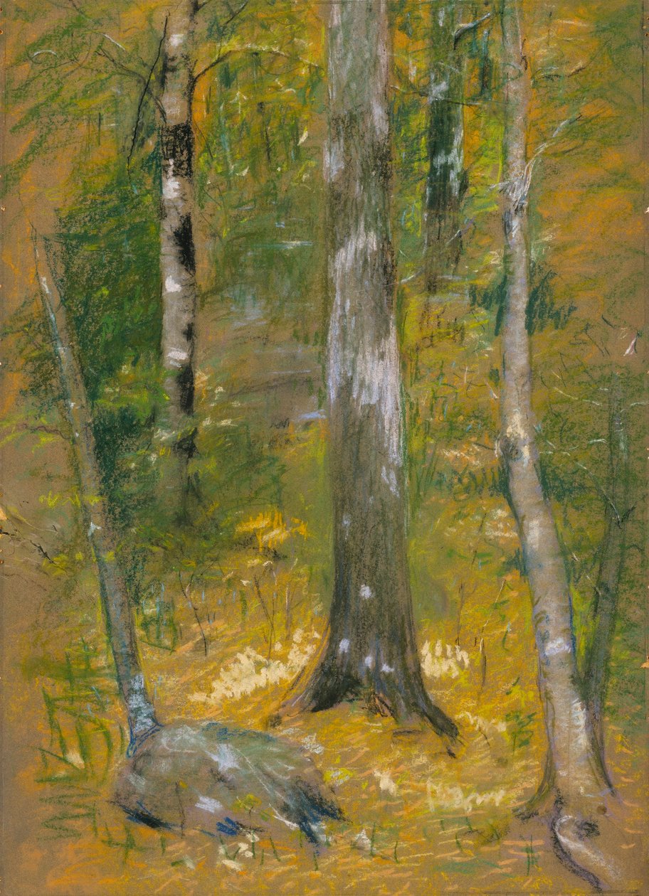 Onteora od Alice Pike Barney