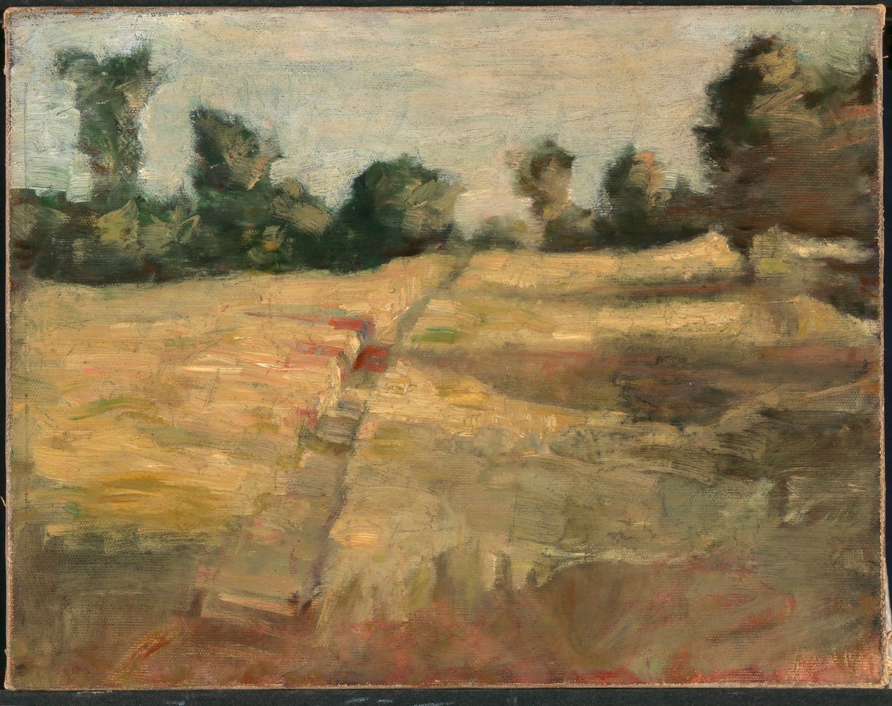 Pole od Alice Pike Barney