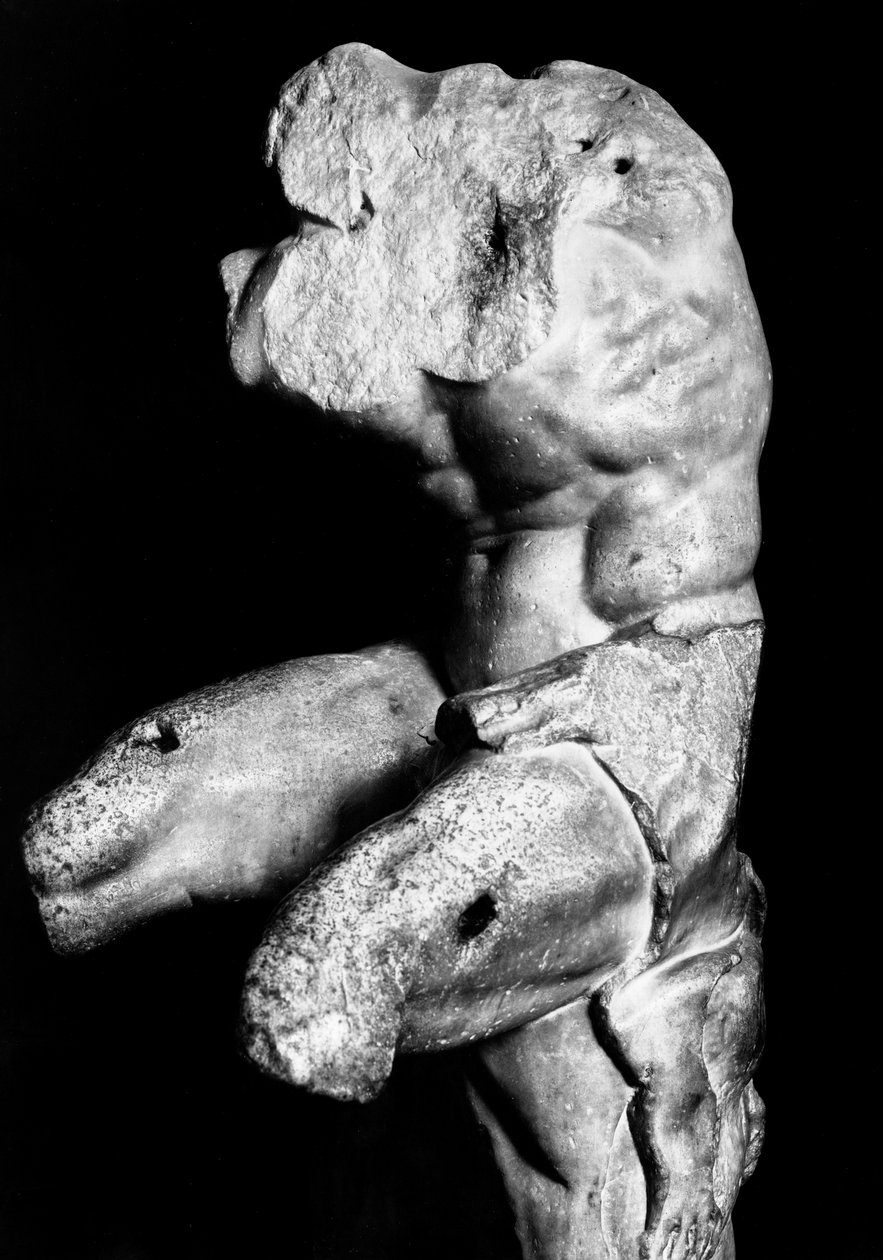 Torso Belvedere od Apollonia z Nestora, kolem roku 1890 (černobílá fotografie) od Fratelli Alinari