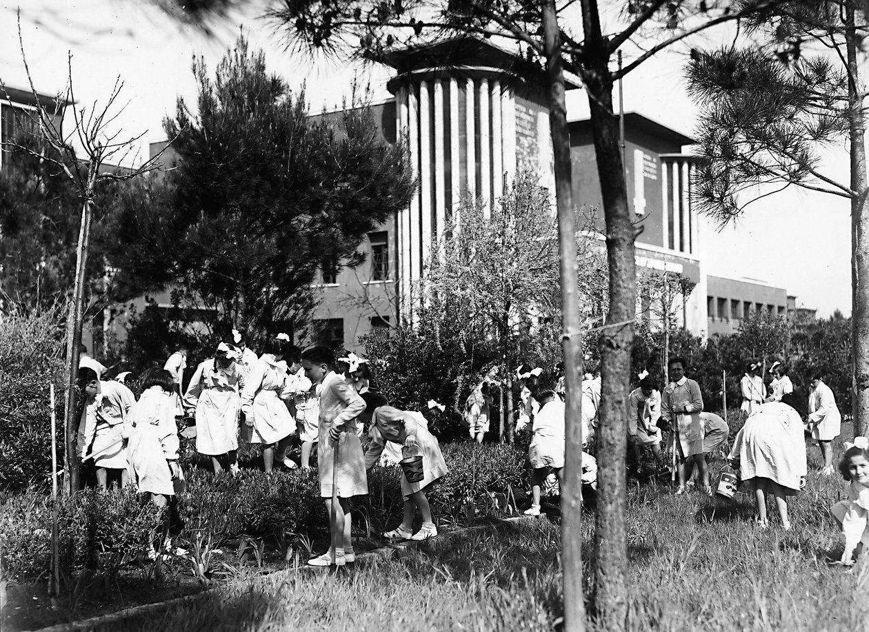 Villa Rosa Maltoni Mussolini: studenti mimo institut, pracující v zeleninové zahradě (černobílá fotografie) od Fratelli Alinari