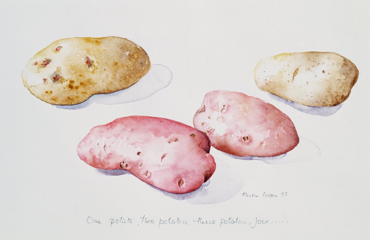 Studie o bramborách, 1993 od Alison Cooper