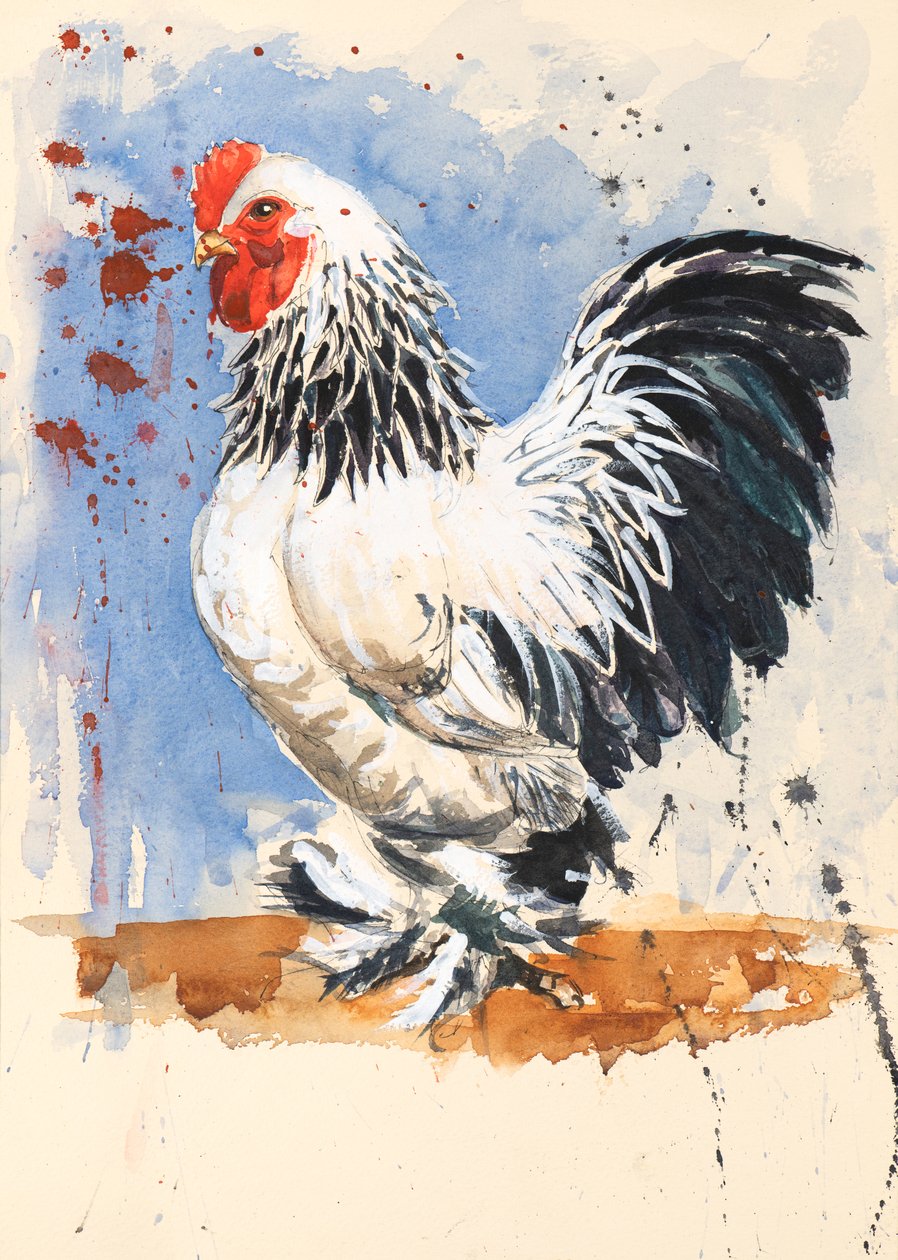 Brahma Bantam Cockerel, 2020 (akvarel) od Alison Cooper