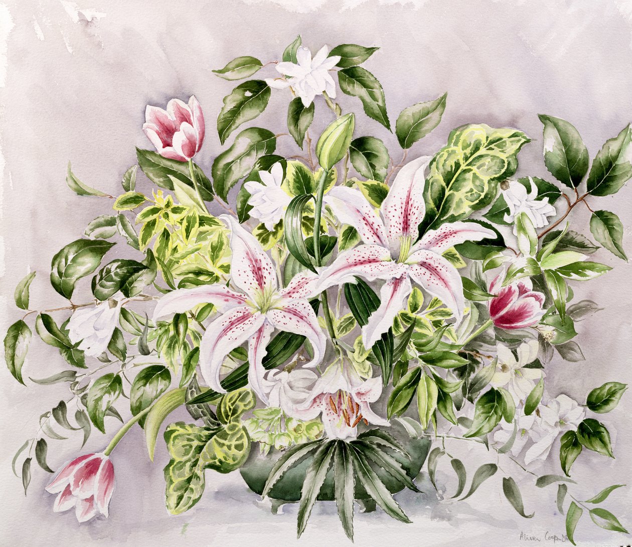 Zátiší s liliemi, 1996 od Alison Cooper