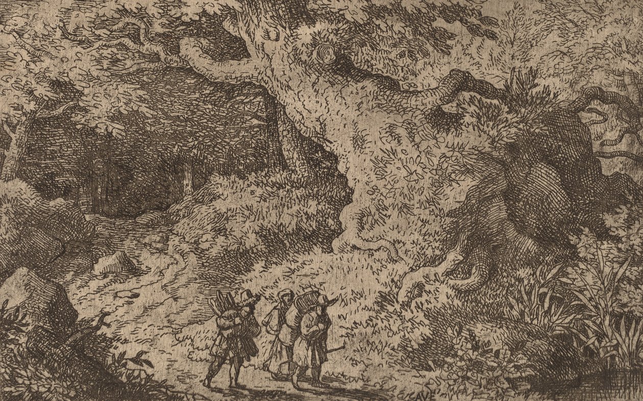 Tlustý les, pravděpodobně c. 16451656. od Allart van Everdingen