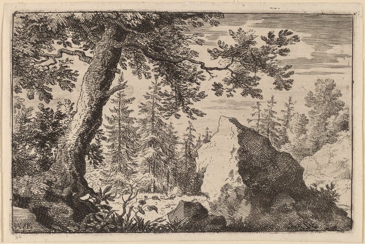 Boulder v lese od Allart van Everdingen