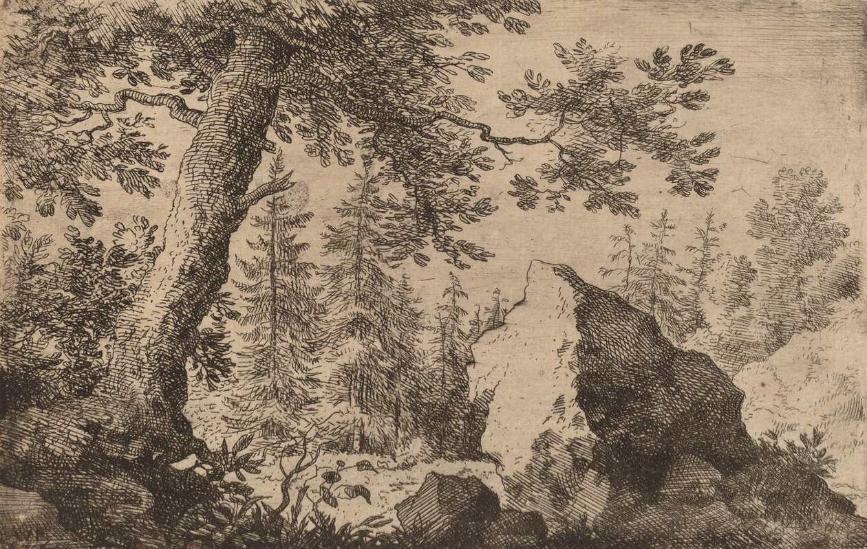 Boulder in the Woods, pravděpodobně c. 16451656. od Allart van Everdingen