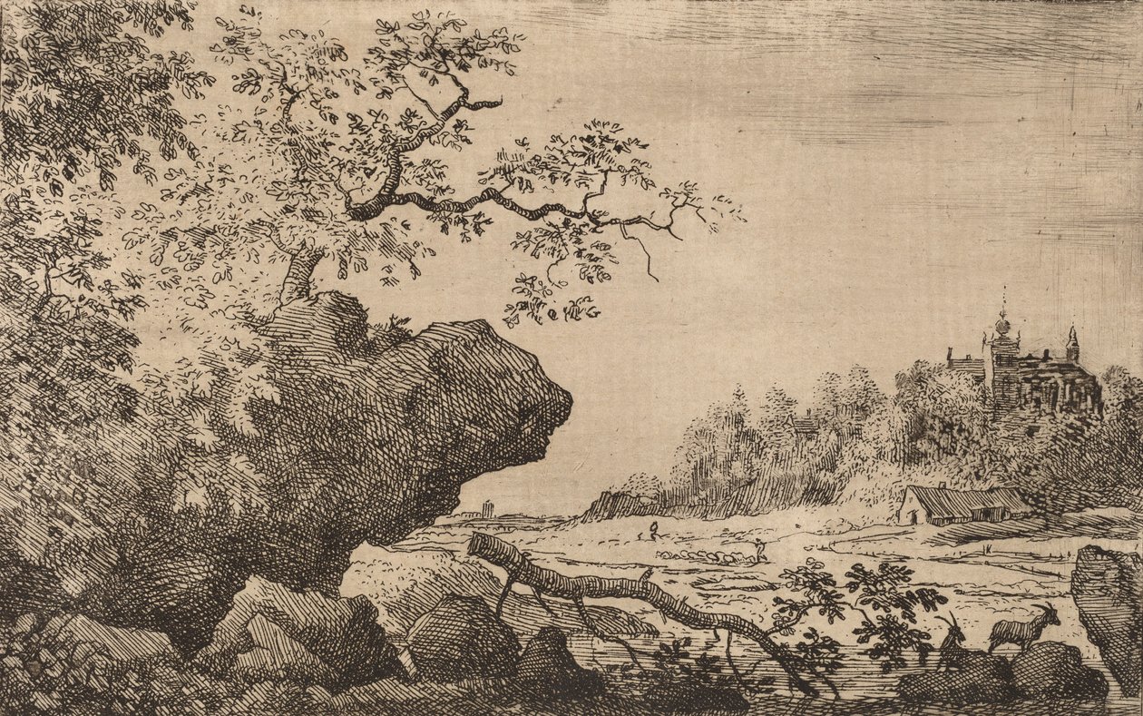 Větev ve vodě, pravděpodobně c. 16451656. od Allart van Everdingen