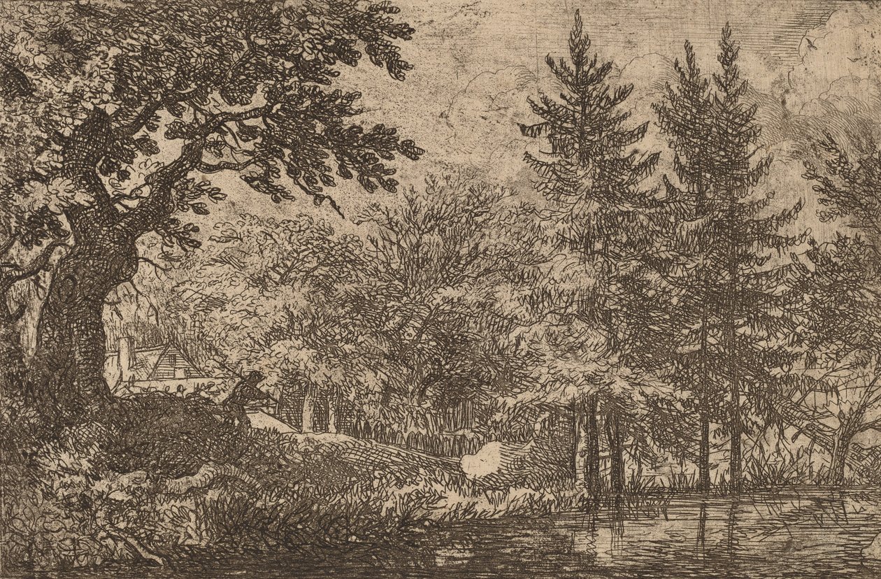 Jedle u vody, pravděpodobně c. 16451656. od Allart van Everdingen