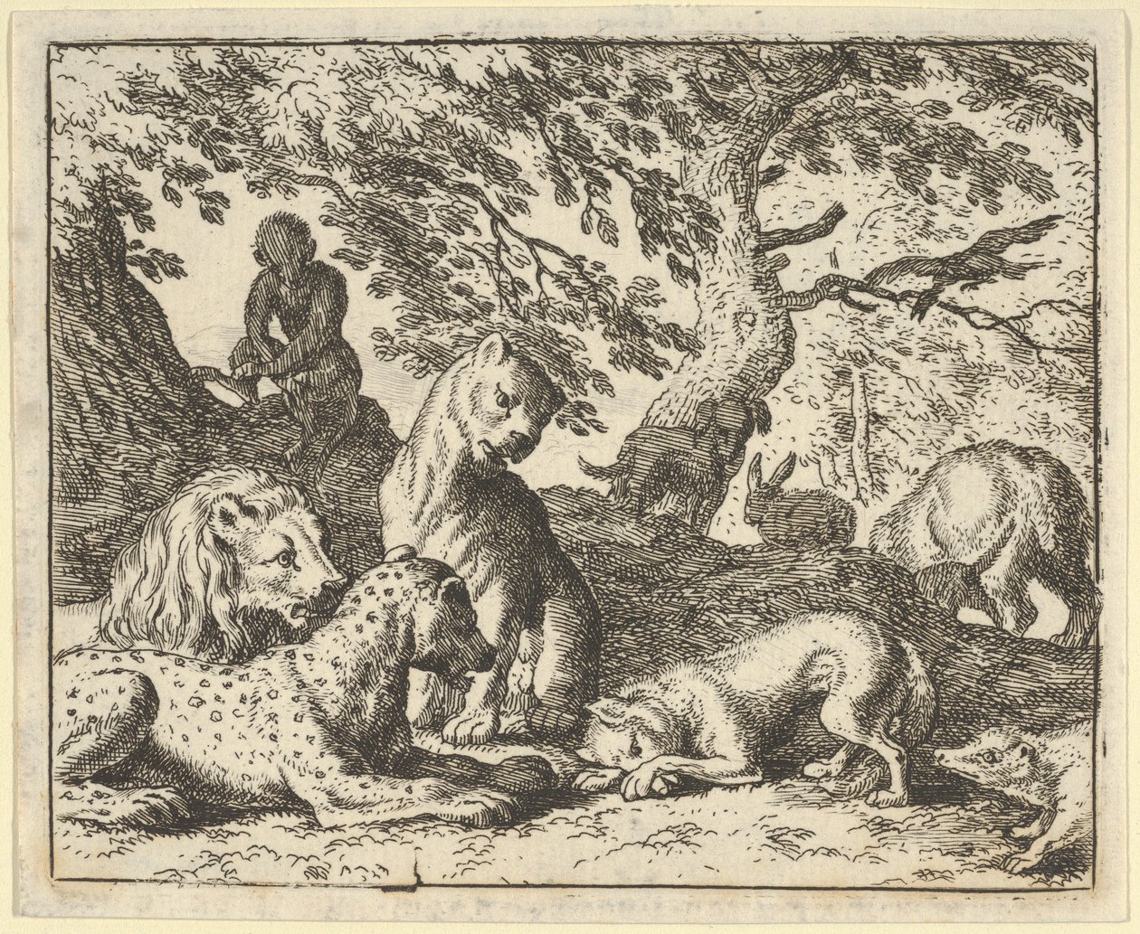 Renard falešně obviňuje svého otce ze spiknutí proti lvu, 1650-75. od Allart van Everdingen