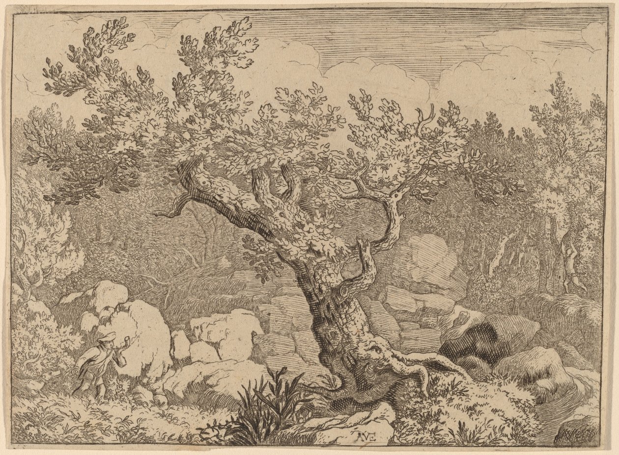 Sportovec u velkého stromu, pravděpodobně c. 16451656. od Allart van Everdingen
