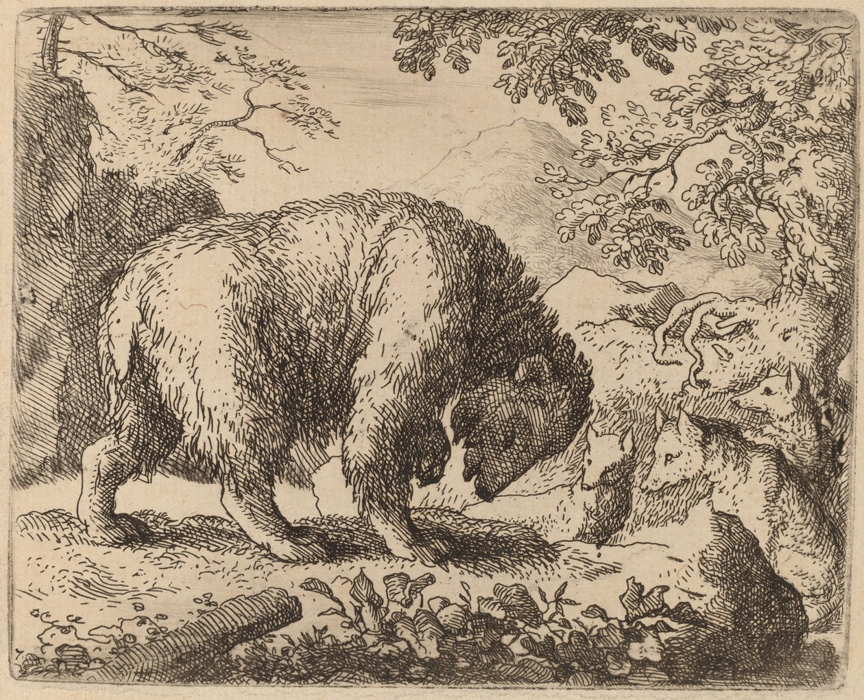 Medvěd rozptýlil Talk of Honey, pravděpodobně c. 16451656. od Allart van Everdingen