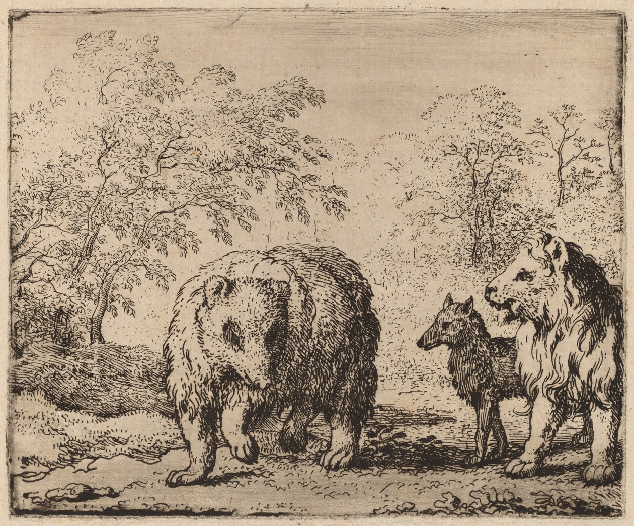 Lev osvobodí medvěda a vlka, pravděpodobně c. 16451656. od Allart van Everdingen