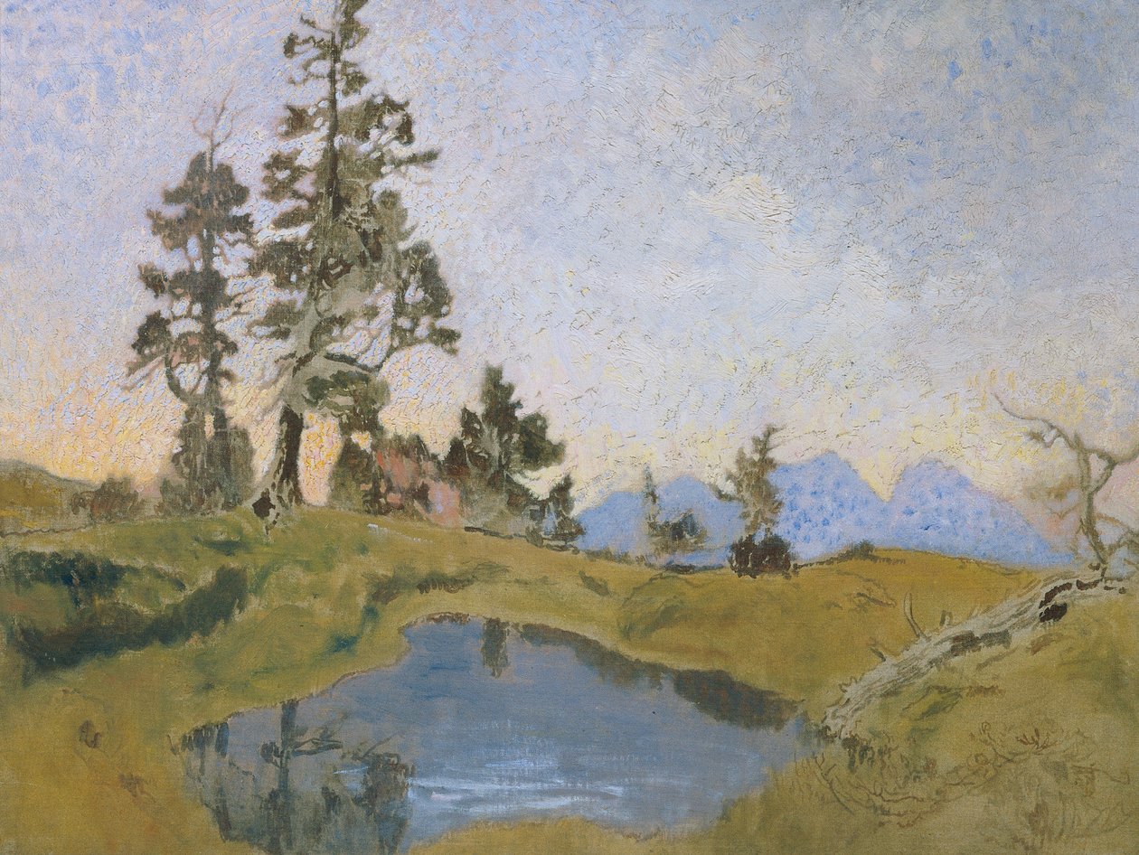Scheiblahn s kamennou borovicí od Alois Penz