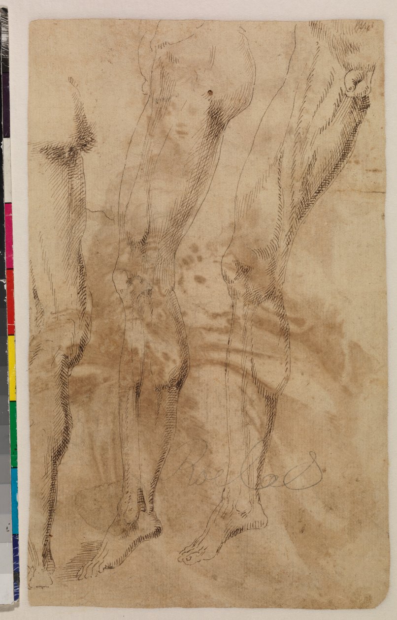 Tři studie mužské nohy (verso) c.1537 (pero a hnědý inkoust na potištěném papíře) [viz 5948317] od Alonso (workshop of) Berruguete