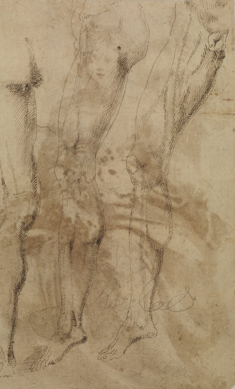 Tři studie mužské nohy, kolem roku 1637 od Alonso Berruguete