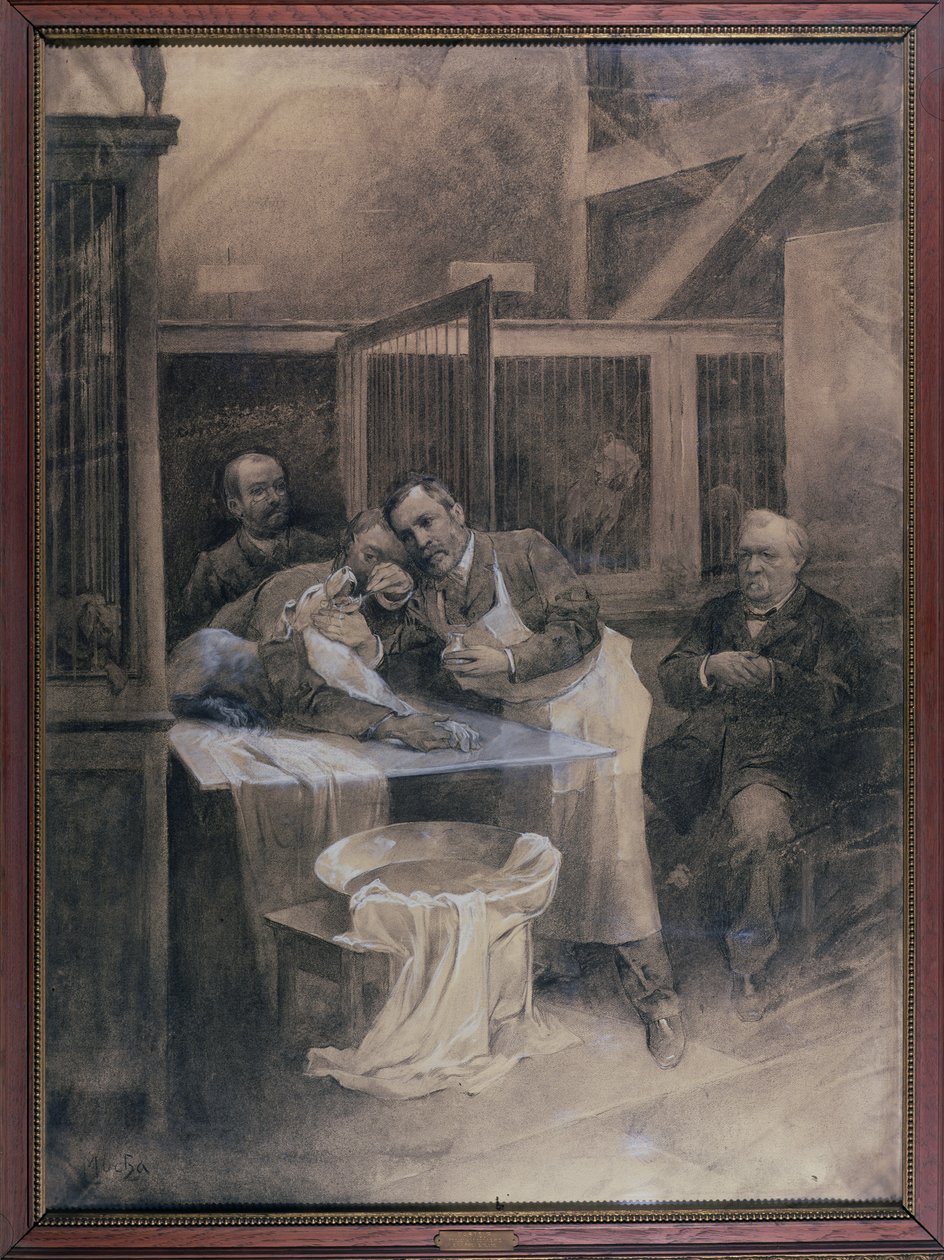 Louis Pasteur (1822-95) odebírající vzorek pěny od vzteklého psa (uhlí) od Alphonse Mucha