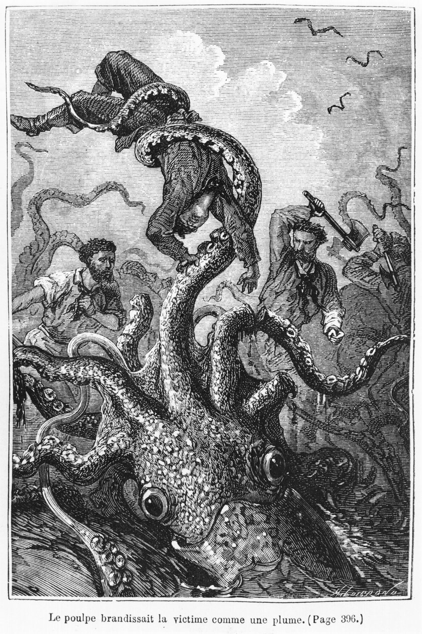 Chobotnice útočící na Nautilus, ilustrace z knihy "20 000 mil pod mořem" od Julese Verna (1828-1905), vyryl Henri Theophile Hildibrand (1824-97) Paříž, Hetzel, vydáno 1877 (rytina). od Alphonse Marie de Neuville
