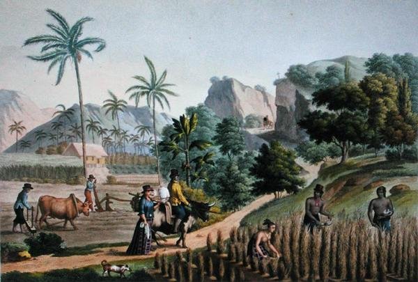 Island of Guam: Agricultural Works, from 