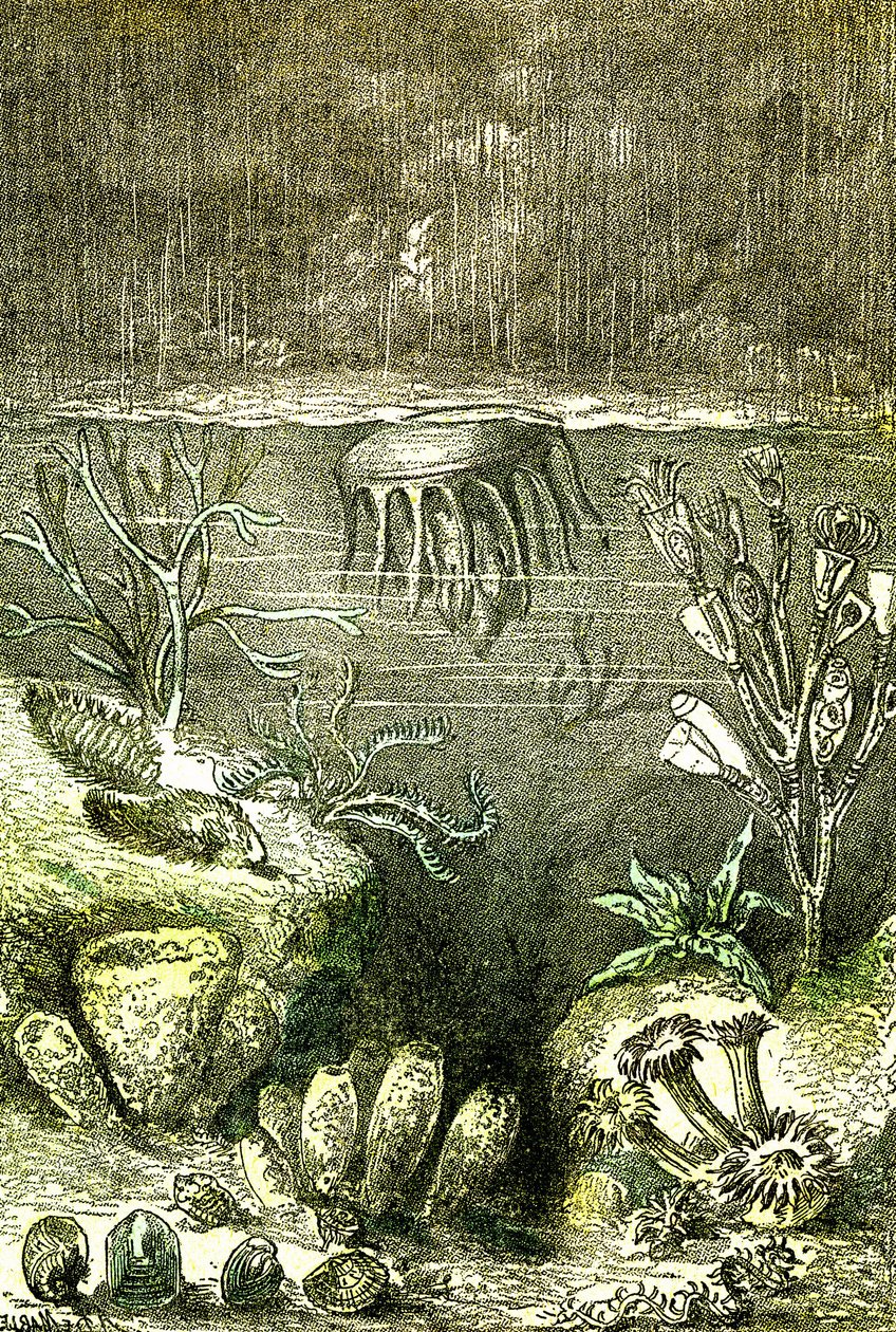 Prehistoire-Terre et Mers: Počátek silurského období (J. Rengade. Kresba Demarle. 1885 od Alphonse Demarle