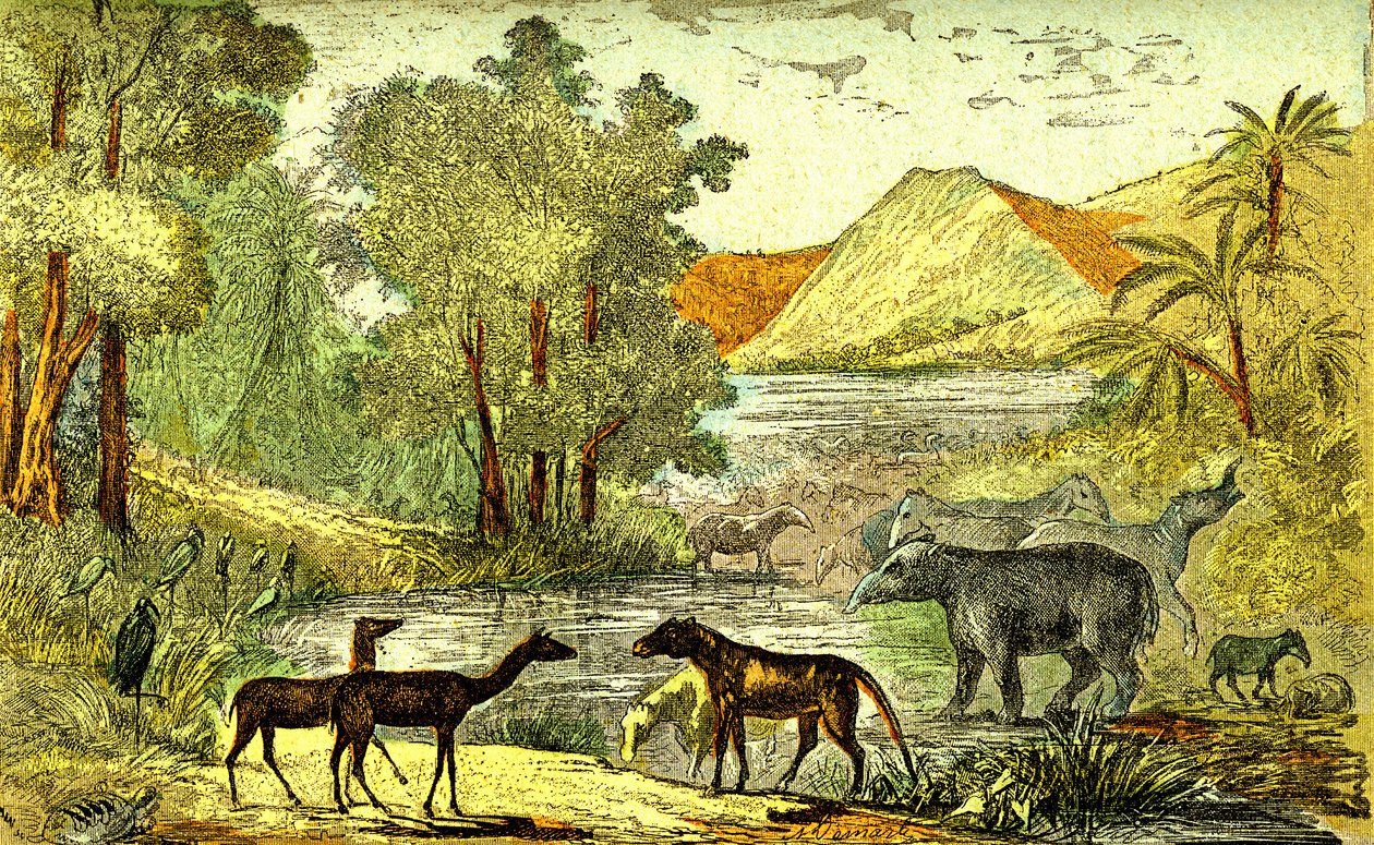 Prehistorie-období eocénu: Zprava doleva: Paloeotherium, Anoplotherium, Xiphodonti a ptáci Tantalus. Přírodní stvoření a živé bytosti. Kresba A. Demarle. 1885 od Alphonse Demarle