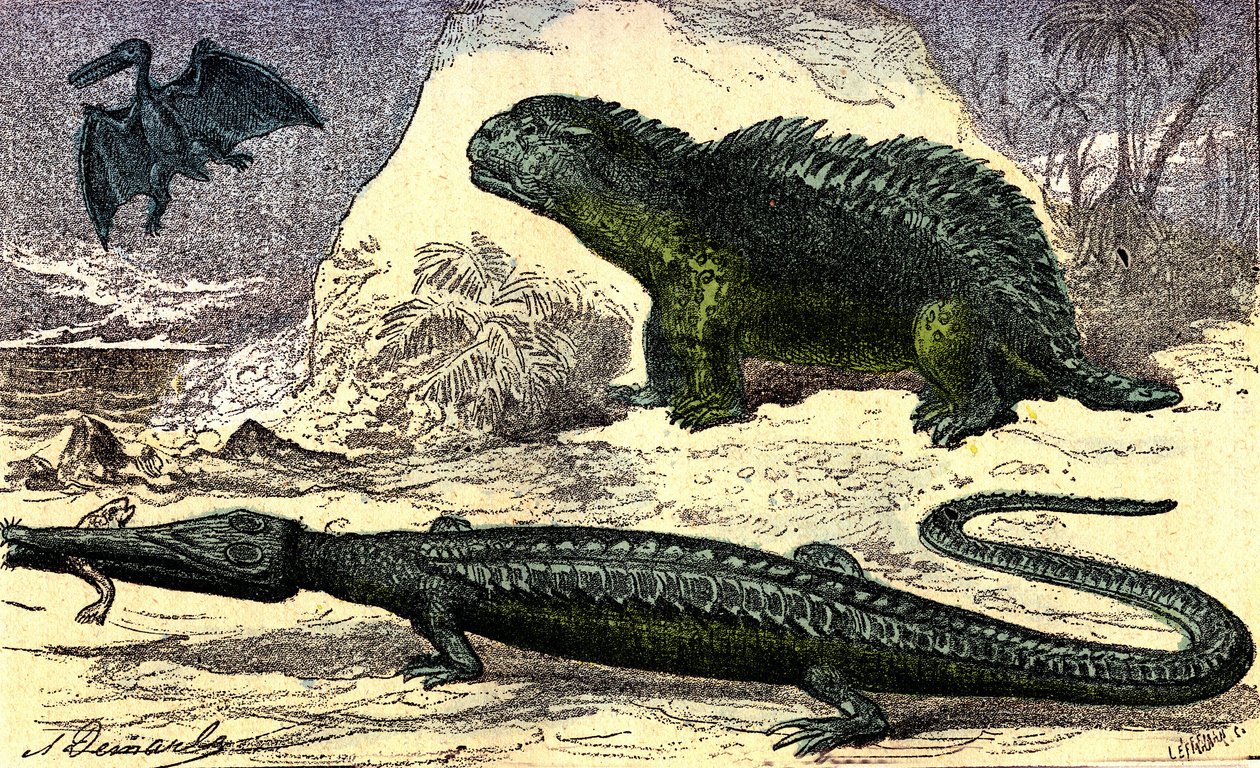Prehistorie - Jurské období: Teleosaur a Hyleosaur. Pterodaktyl nahoře. Přírodní stvoření a živé bytosti. Kresba A. Demarle. 1885 od Alphonse Demarle
