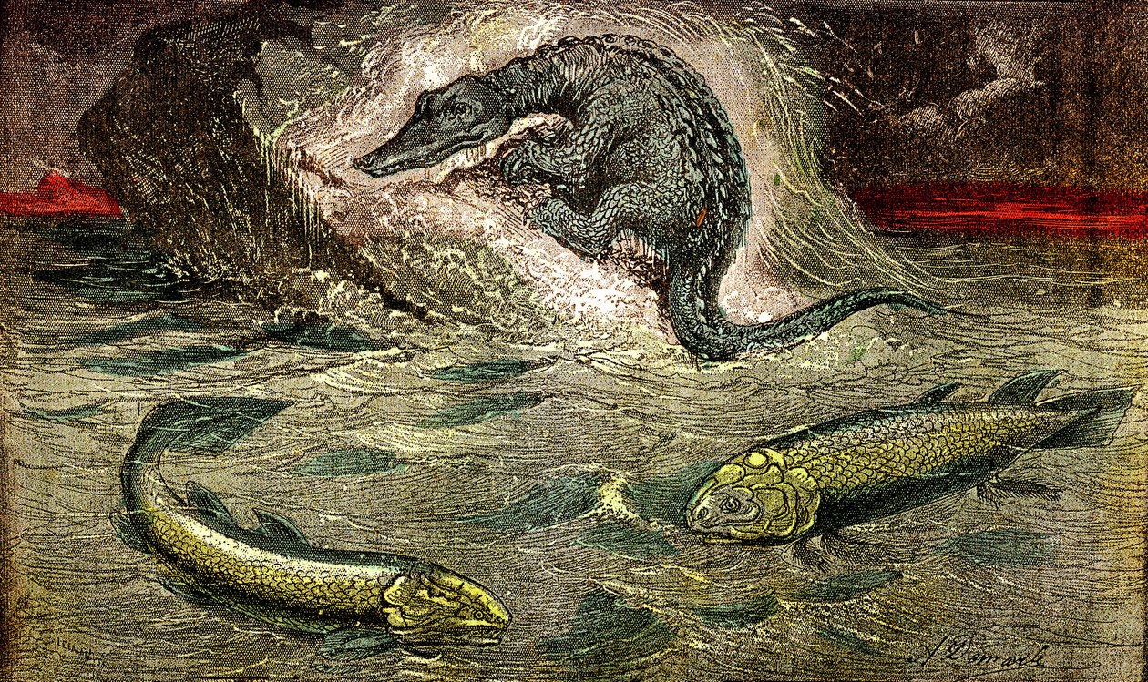 Přechod z ryb na plazy: Proteosaur (nahoře) plaz z ryb, období uhlí. Holoptychius vlevo dole a L