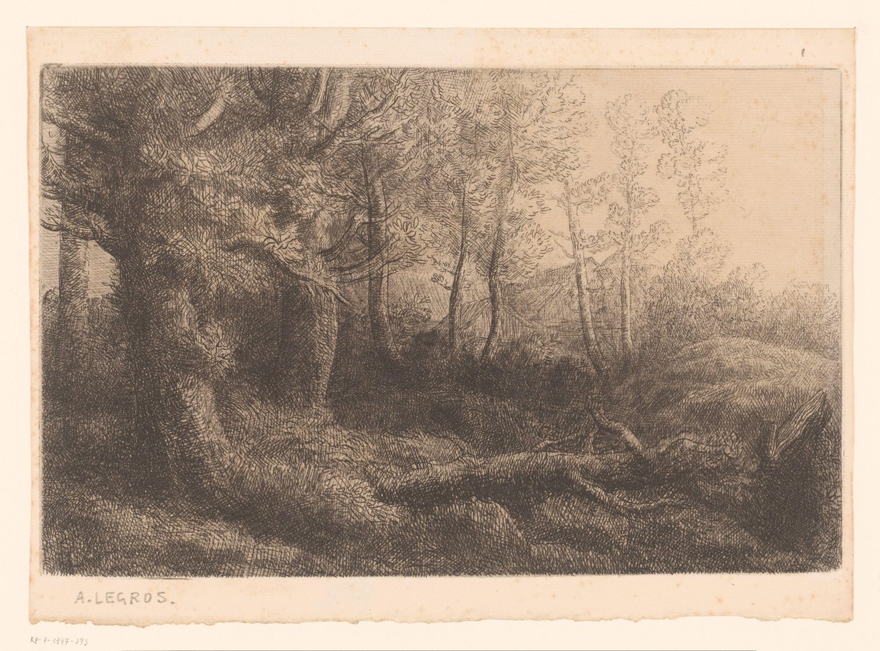 výhled na les od Alphonse Legros (attributed to)