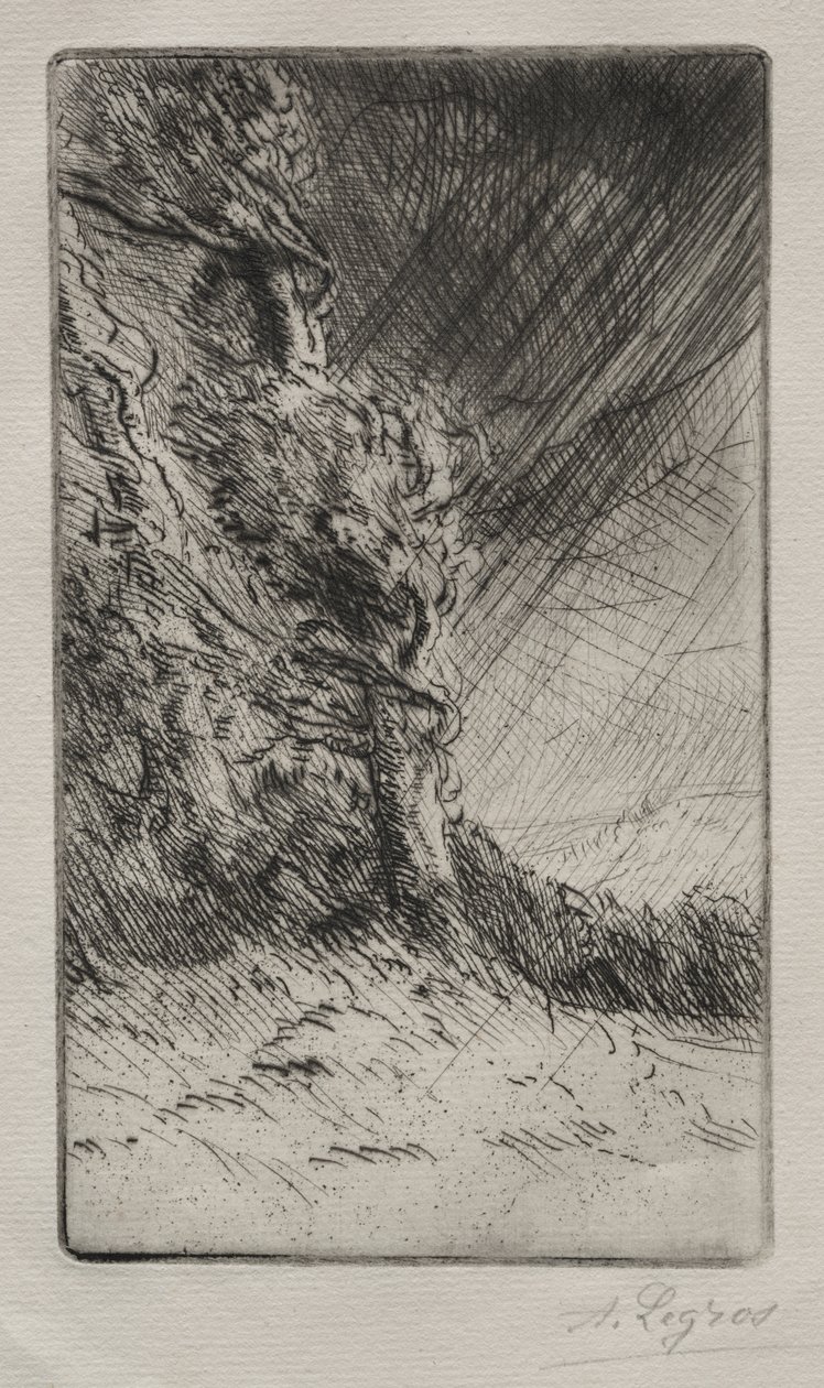 Závan větru od Alphonse Legros