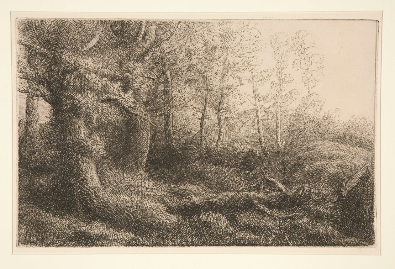 Studie lesa od Alphonse Legros