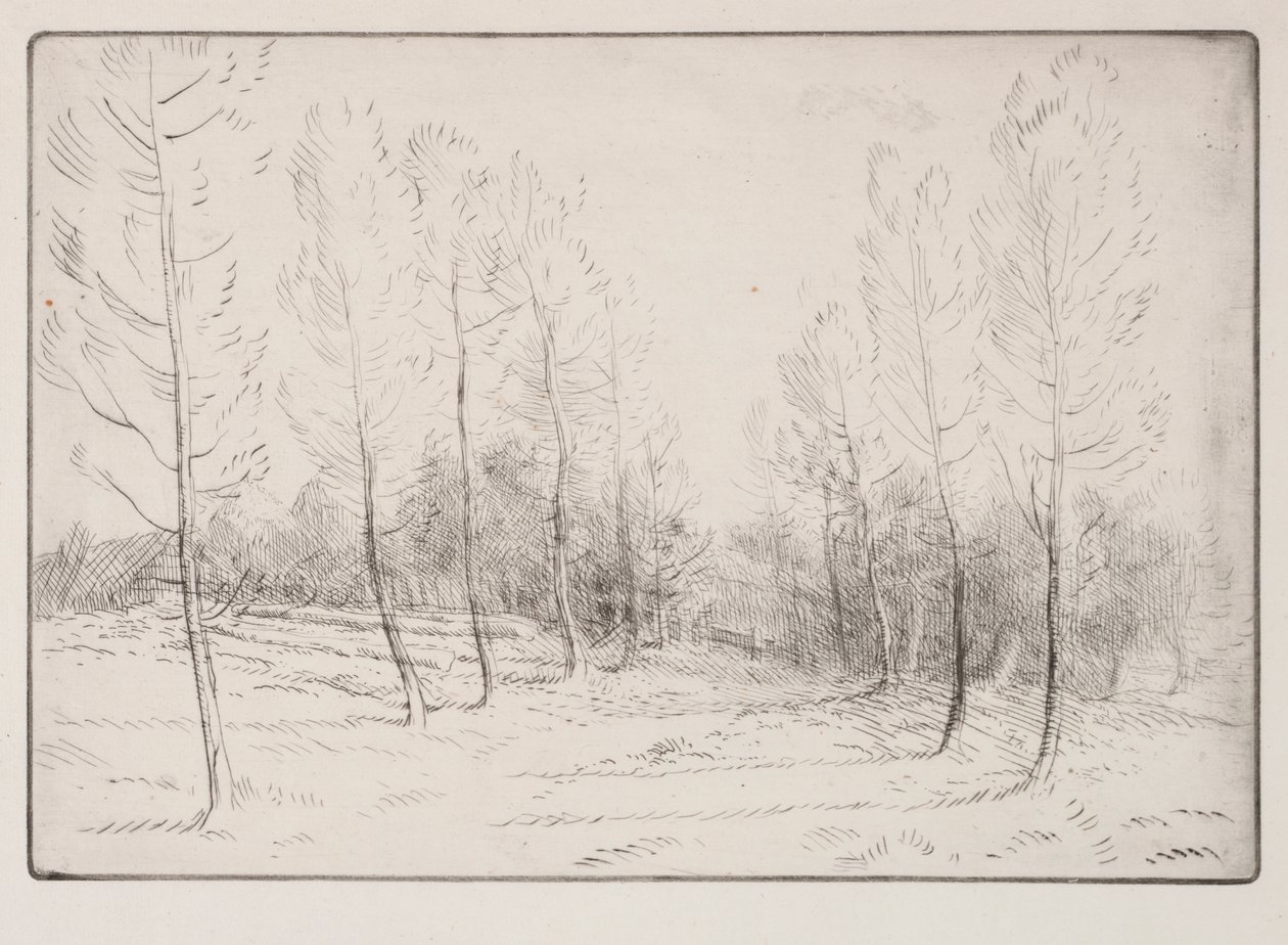 Alej topolů od Alphonse Legros