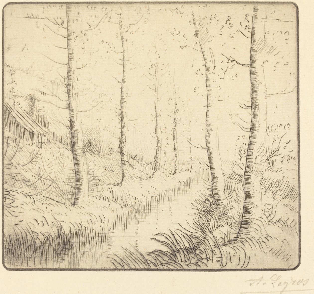 Břízy podél vody od Alphonse Legros