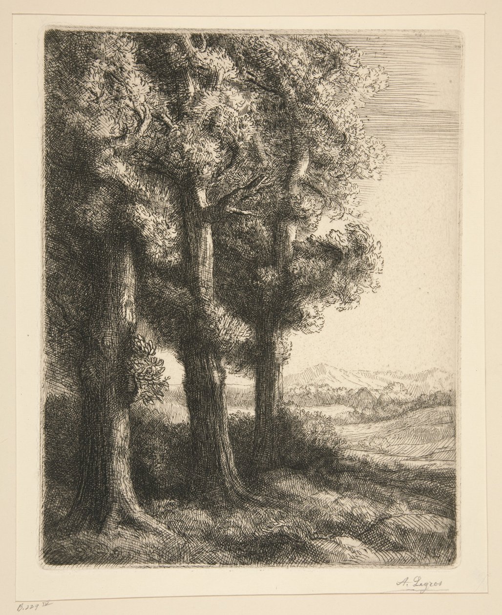 Kout lesa od Alphonse Legros