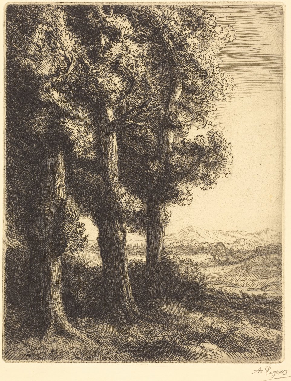 Corner of a Wood (Zákoutí lesa) od Alphonse Legros