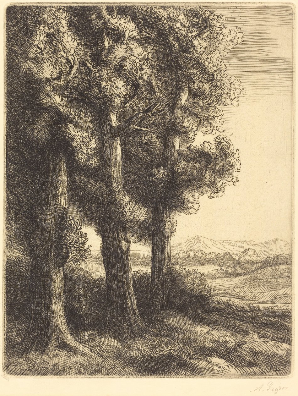 Corner of a Wood (Kout lesa) od Alphonse Legros