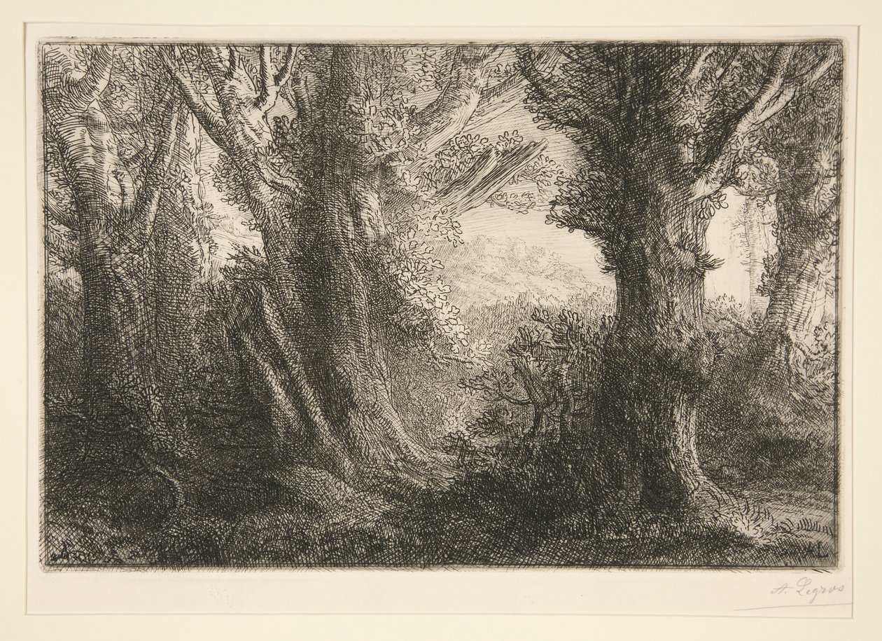 Dans la foret de Conteville (V lese Conteville) od Alphonse Legros