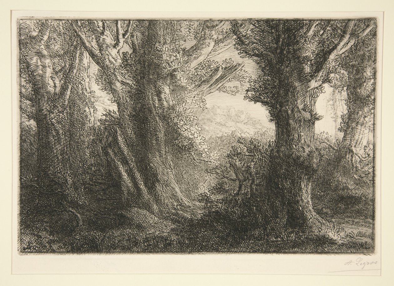 V lese u Conteville od Alphonse Legros