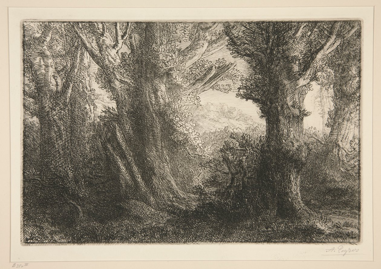 Dans la foret de Conteville (V lese Conteville0 od Alphonse Legros