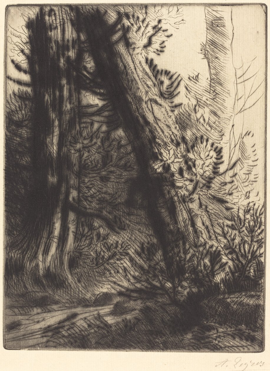 Okraj potoka (Bord de ruisseau) od Alphonse Legros