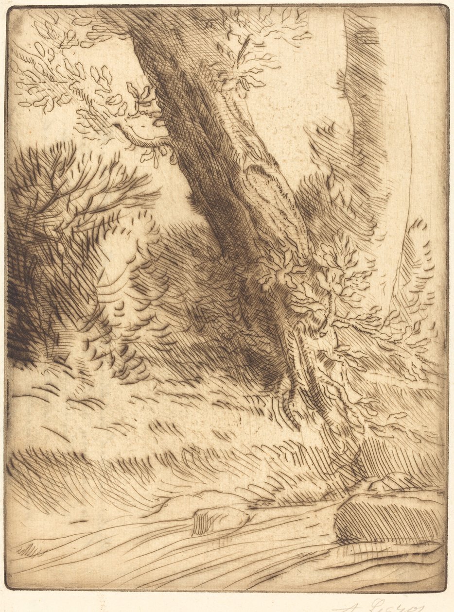 Okraj potoka Bord de ruisseau. od Alphonse Legros