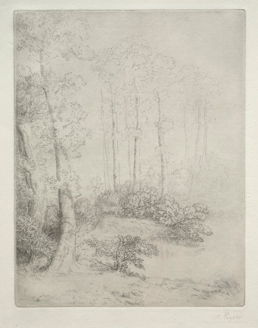 Okraj vody od Alphonse Legros