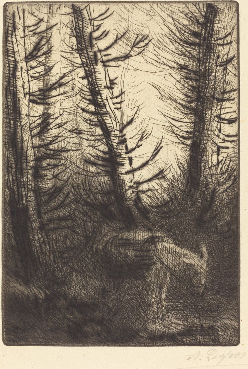 Farmář a jeho osel Farmář a jeho osel. od Alphonse Legros