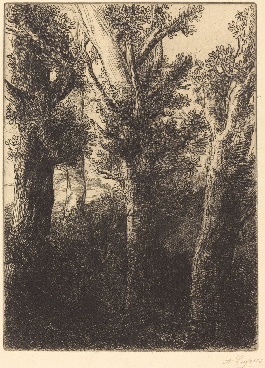Německý les, Downley od Alphonse Legros