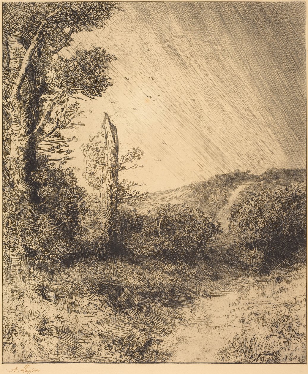 Gust of Wind (Poryv větru) od Alphonse Legros