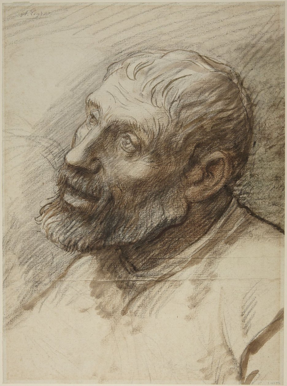 Hlava vousatého muže od Alphonse Legros