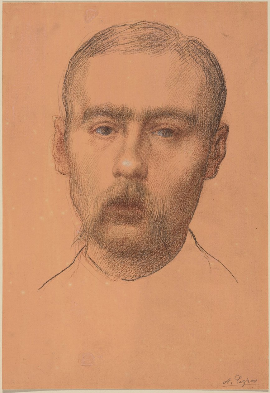 Hlava muže  (pravděpodobně portrét profesora E. D. Adamse) od Alphonse Legros